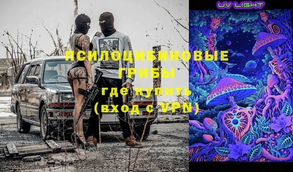 индика Алзамай