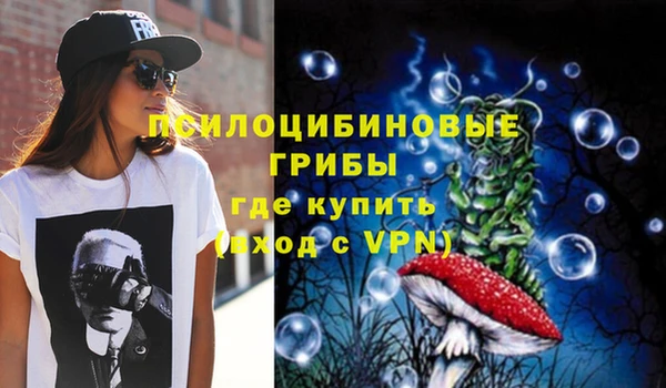 индика Алзамай